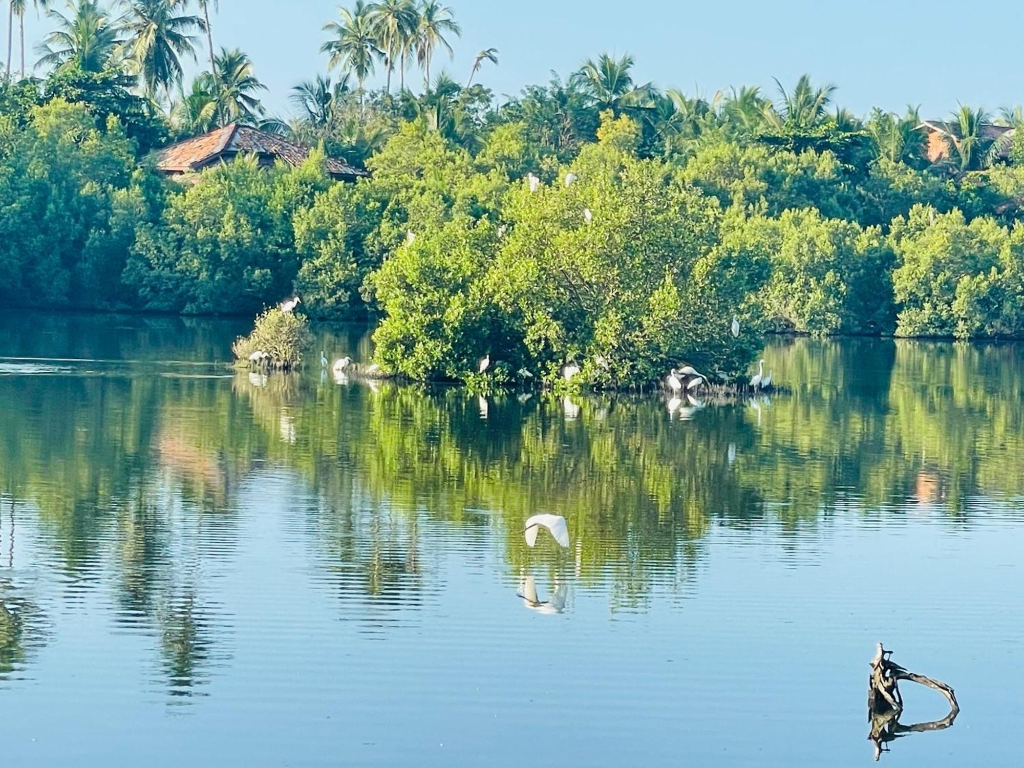 Eagles Nest Cabanas Tangalle Ngoại thất bức ảnh
